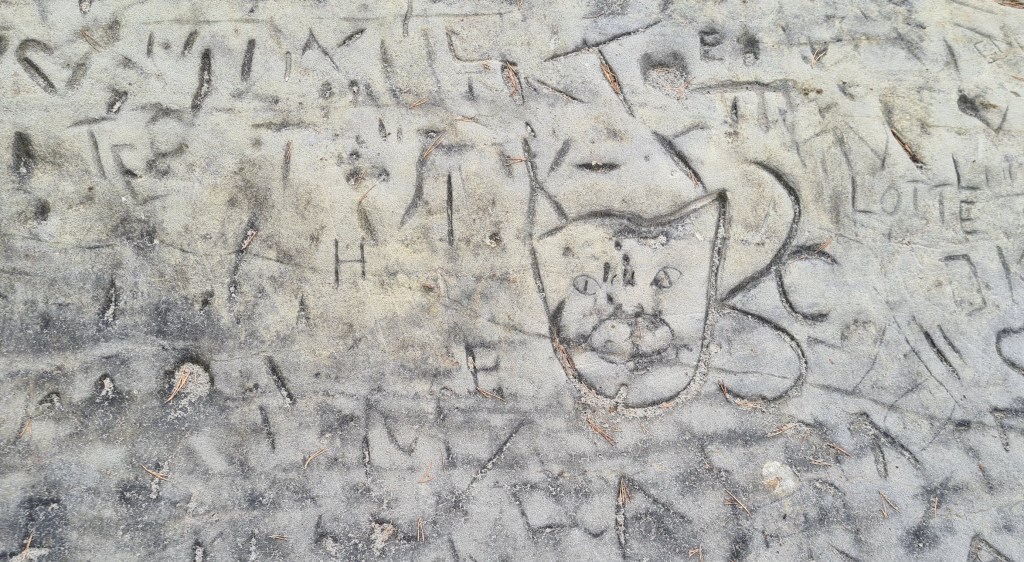 Rotstekening huiskat