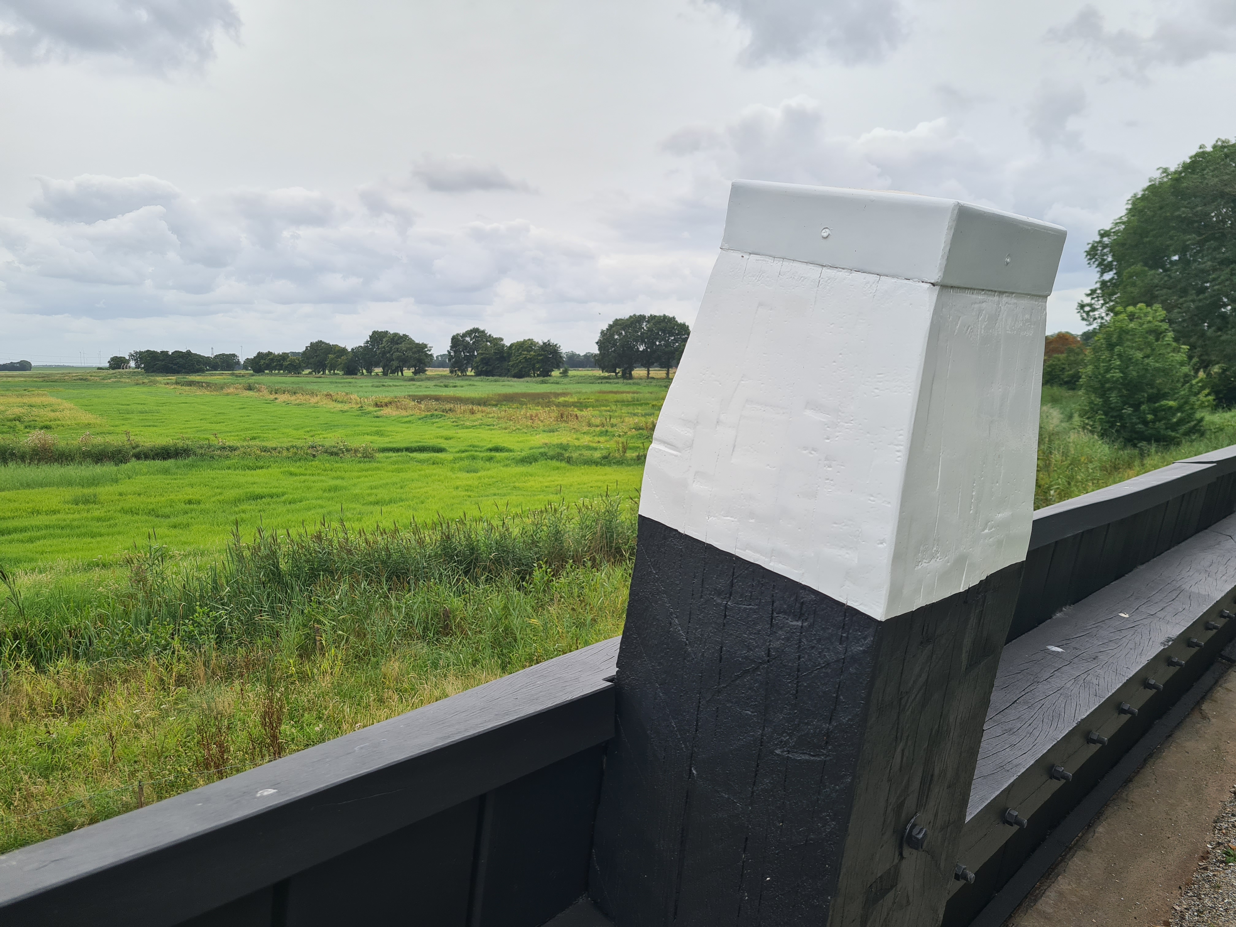 Zeewering op Schokland